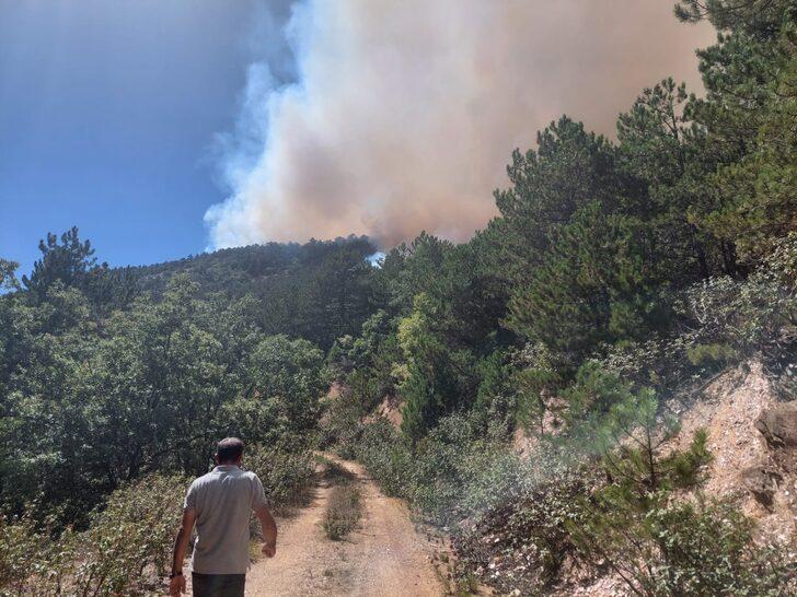 Eskişehir'de çıkan orman yangını söndürüldü G5