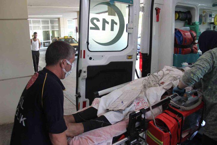 Ormandan gelen sese koştular! Kardeşi gördüğü manzara karşısında dehşete düştü G1