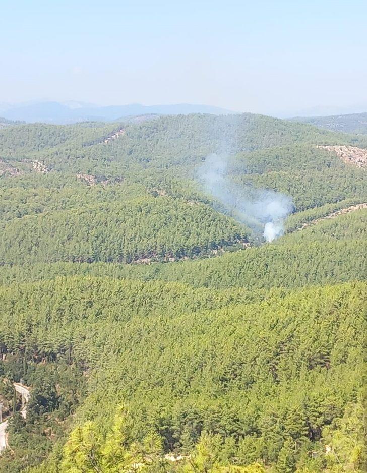 Alanya'da çıkan orman yangını söndürüldü