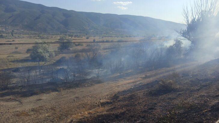 Kastamonu'da çıkan anız yangını söndürülmeye çalışılıyor G2