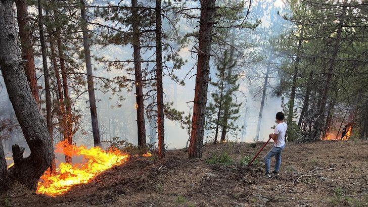 Çorum'un Bayat ilçesindeki orman yangınına müdahale ediliyor G1