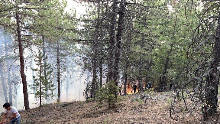 Çorum'un Bayat ilçesindeki orman yangınına müdahale ediliyor G2