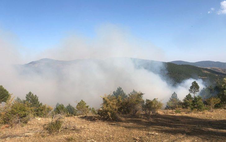 Çorum'un Bayat ilçesindeki orman yangınına müdahale ediliyor G3