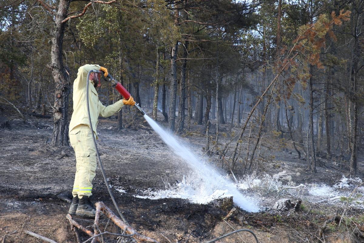 Tokat'ta &ccedil;ıkan orman yangını kontrol altına alındı