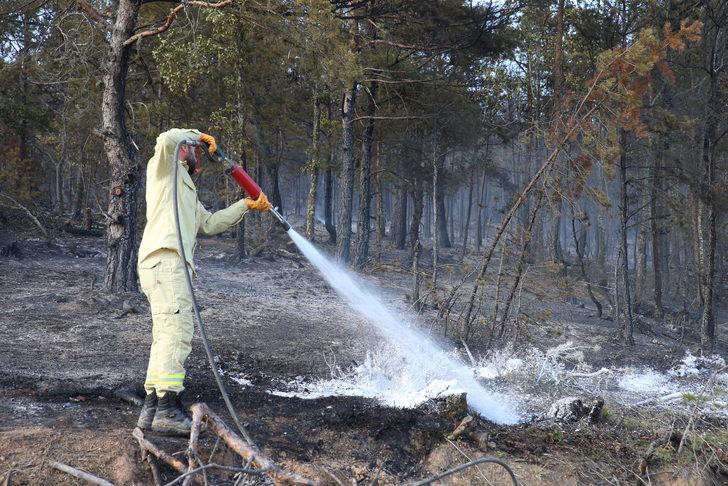 Tokat'ta çıkan orman yangını kontrol altına alındı G1