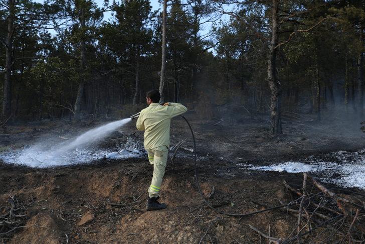 Tokat'ta çıkan orman yangını kontrol altına alındı G2