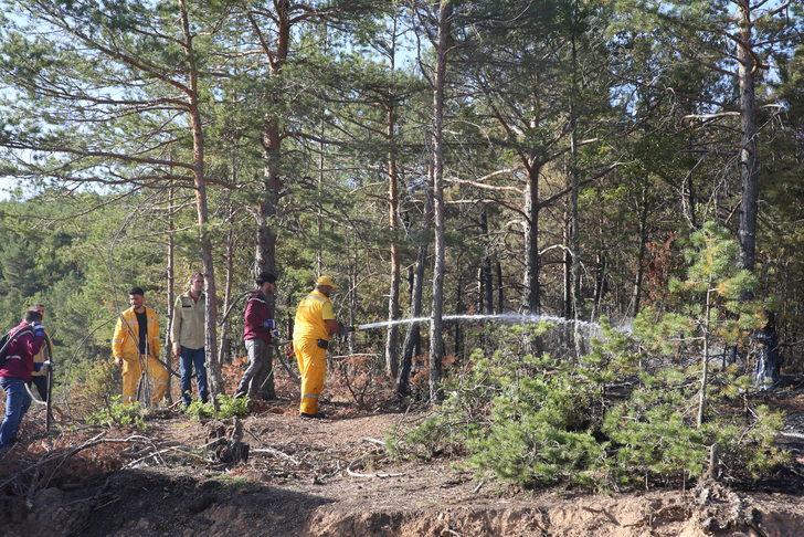 Tokat'ta çıkan orman yangını kontrol altına alındı G5