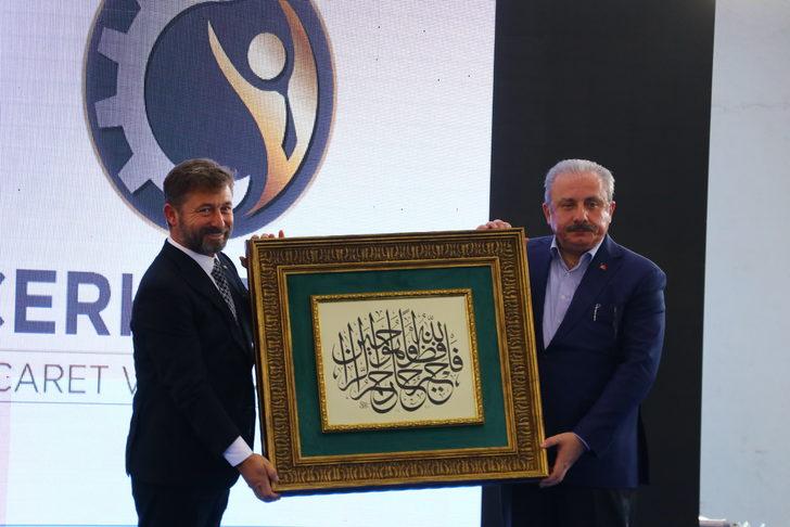 TBMM Başkanı Şentop, Çerkezköy Endüstriyel Fuarı'nın açılışında konuştu: G4