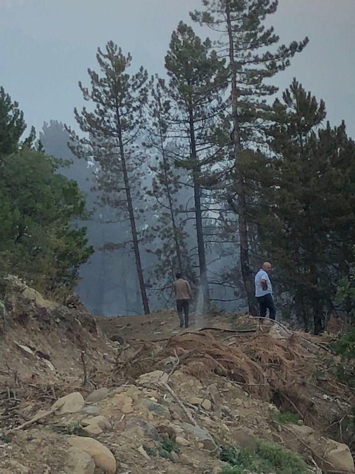 GÜNCELLEME - Çorum'un Bayat ilçesindeki orman yangını kontrol altına alındı G4