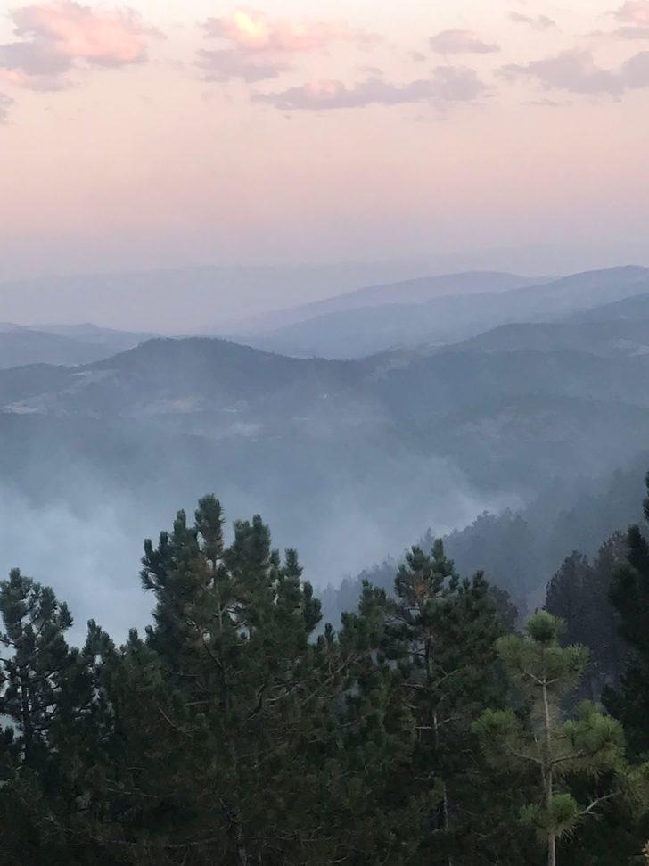 GÜNCELLEME - Çorum'un Bayat ilçesindeki orman yangını kontrol altına alındı G5