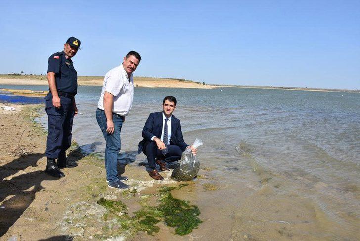 Edirne'deki göletlere 520 bin balık yavrusu bırakıldı G2