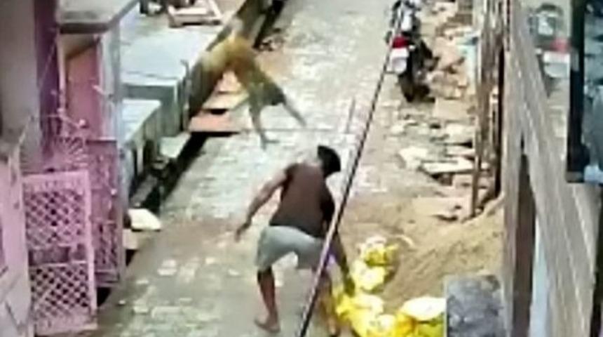 Arkadaşlarının intikamını aldı! Maymun insana karşı