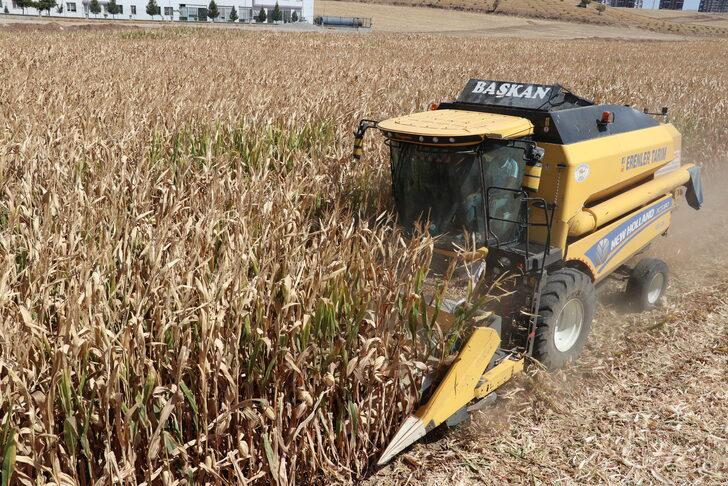 Seyyar biçerdöverciler il il gezerek hasat yapıyor G1
