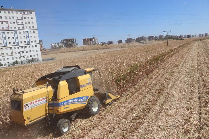 Seyyar biçerdöverciler il il gezerek hasat yapıyor G5