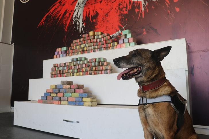 Kocaeli'de 88 kilo 300 gram eroin ele geçirilen tırın şoförü tutuklandı G1