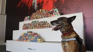 Kocaeli'de tır dorsesine gizlenmiş 88 kilo 300 gram eroin ele geçirildi