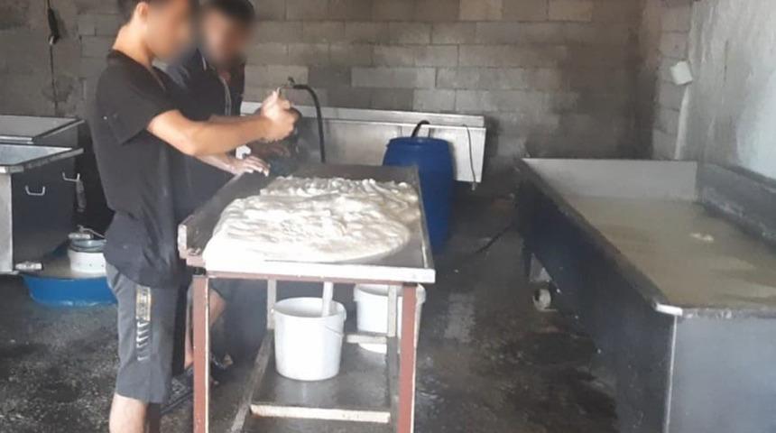 Görüntüler ekipleri bile şaşkına çevirdi! "Zehirlenme riski yüksek" Tonlarca peynir...