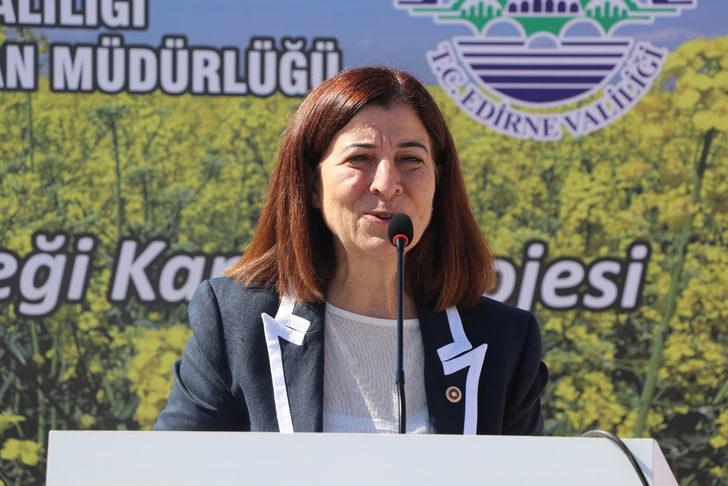 Edirne'de üreticilere yüzde 75 hibeli kanola tohumu dağıtıldı G4