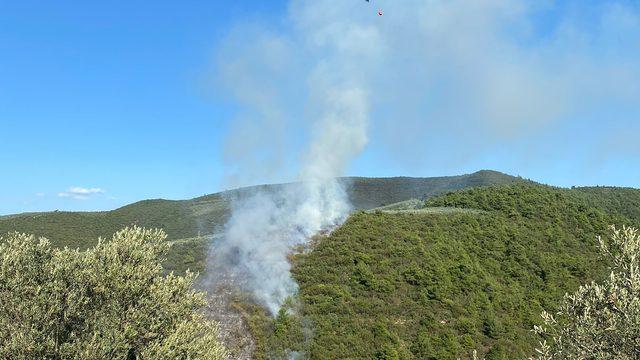 GÜNCELLEME - Bursa'da çıkan orman yangını kontrol altına alındı
