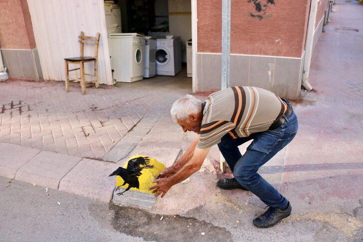 Eskişehir'de yavru karga mahallelinin ilgi odağı oldu G2