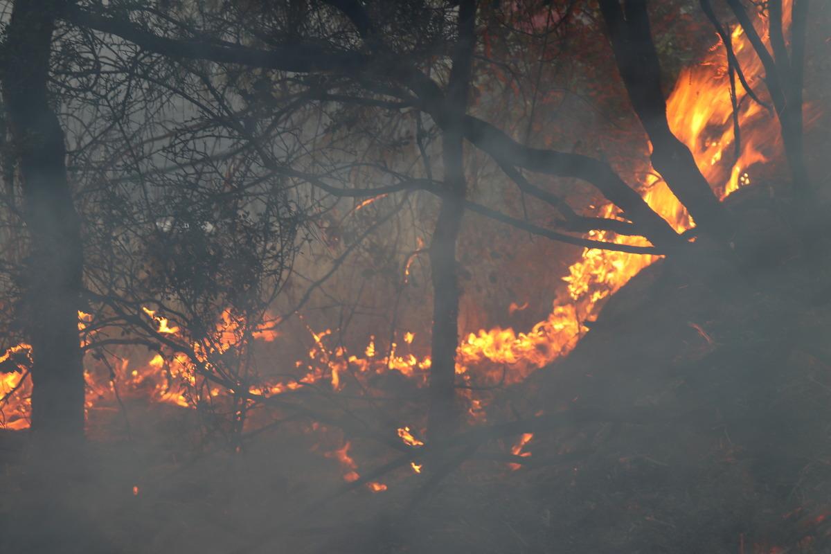 Alanya'da &ccedil;ıkan orman yangını s&ouml;nd&uuml;r&uuml;ld&uuml;