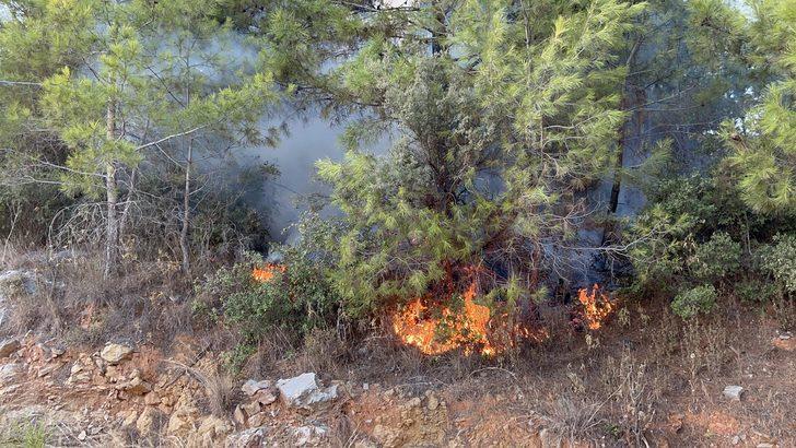 Alanya'da çıkan orman yangını söndürüldü G2