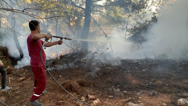 Alanya'da çıkan orman yangını söndürüldü G3