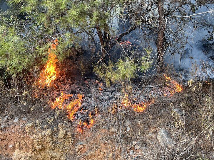 Alanya'da çıkan orman yangını söndürüldü G4