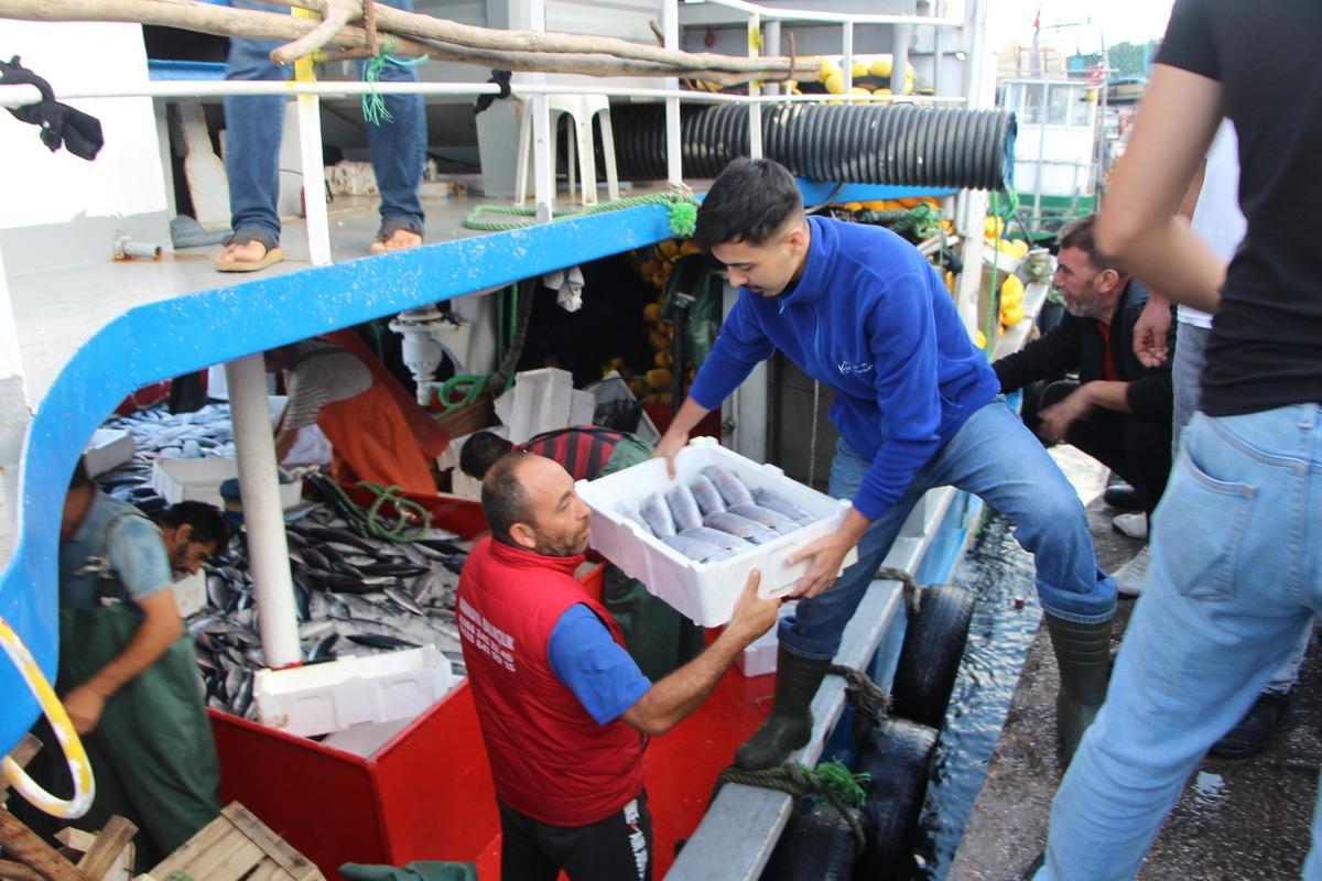 Bandırma Balık Hali'nde palamut bolluğu yaşanıyor