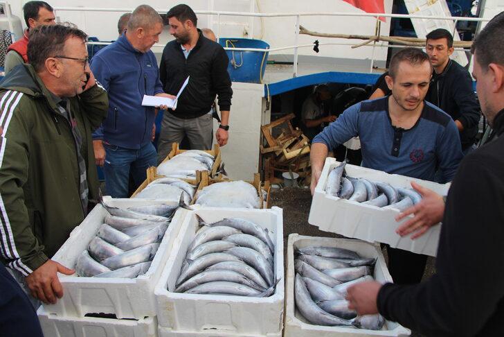 Bandırma Balık Hali'nde palamut bolluğu yaşanıyor G2