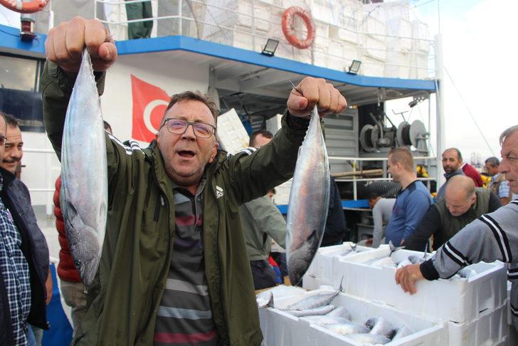 Bandırma Balık Hali'nde palamut bolluğu yaşanıyor G3