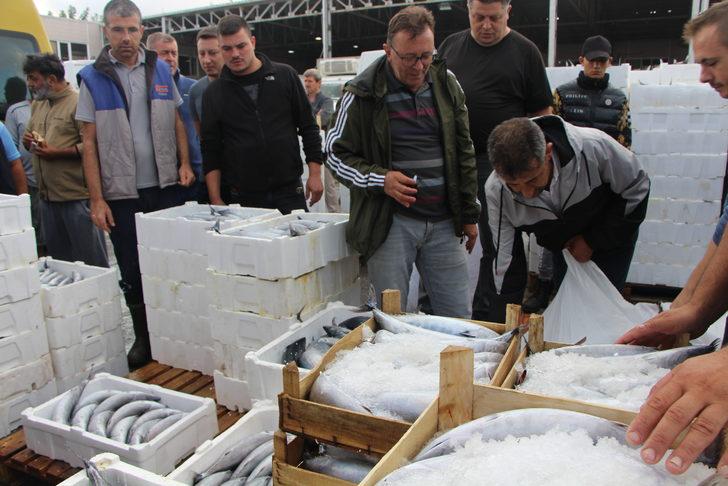 Bandırma Balık Hali'nde palamut bolluğu yaşanıyor G5