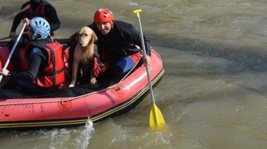 Rafting keyfine davetsiz misafir