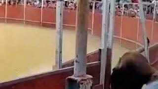 Seyirciler canlı canlı o anları izledi! Öfkeli boğa kalabalığın önünde boğa güreşçisini boynuzlayarak öldürdü