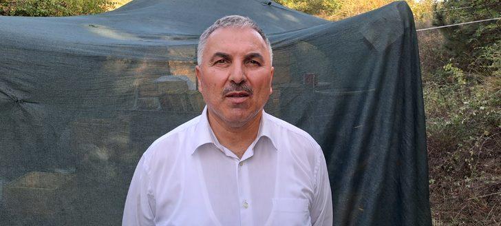 Sakarya balında bu yıl 16 bin ton rekolte bekleniyor G1