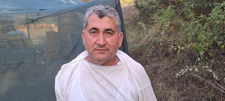 Sakarya balında bu yıl 16 bin ton rekolte bekleniyor G3