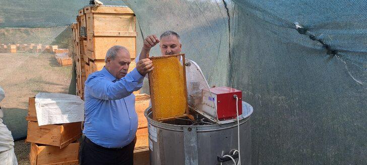 Sakarya balında bu yıl 16 bin ton rekolte bekleniyor G4