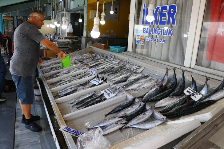 Palamut bolluğu balıkçıların yüzünü güldürmeye devam ediyor G5