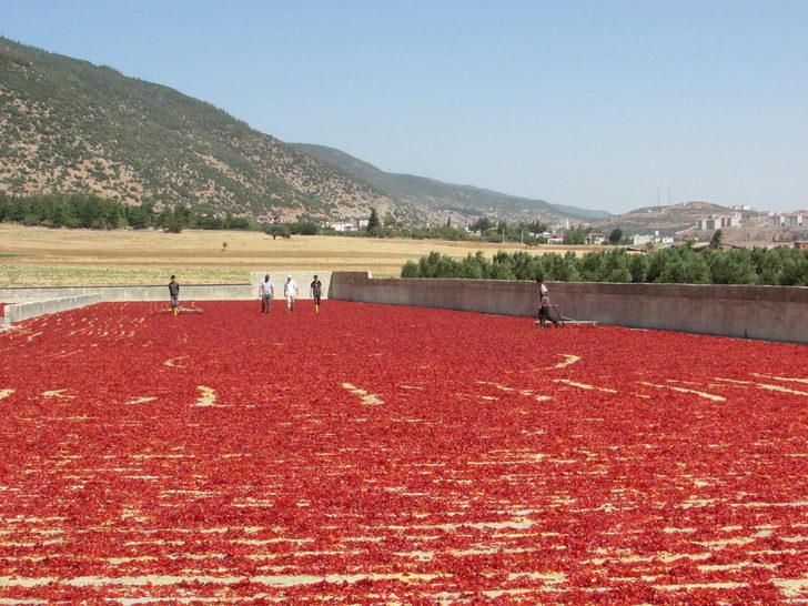 Avukatlığı bırakıp enerjisini GES'ten alan biber işleme tesisi kurdu G5