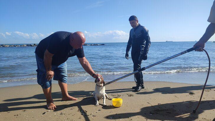 Sakarya'da dalgakıranda mahsur kalan köpeği Sahil Güvenlik ekibi kurtardı G2