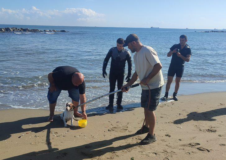 Sakarya'da dalgakıranda mahsur kalan köpeği Sahil Güvenlik ekibi kurtardı G4
