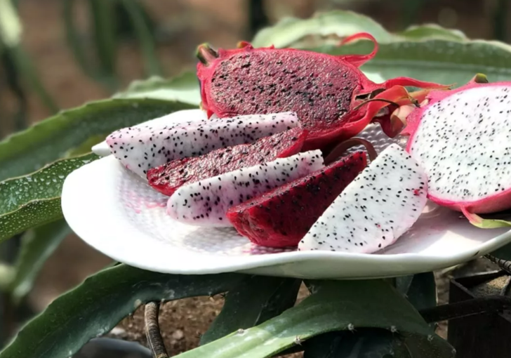 Doğal afrodizyak etkili: Düzenli olarak tüketildiğinde ne diyabet kalır ne tansiyon G3