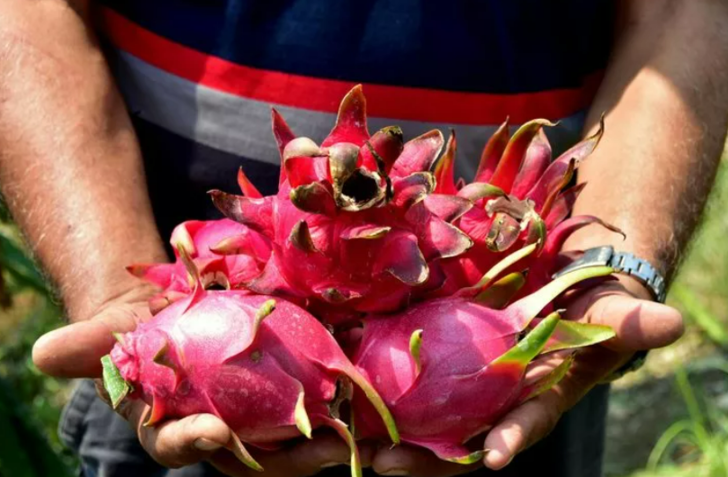 Doğal afrodizyak etkili: Düzenli olarak tüketildiğinde ne diyabet kalır ne tansiyon G5