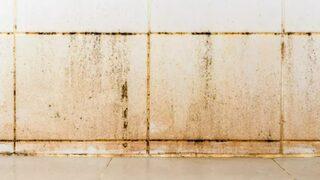 İnatçı fayans aralarını tertemiz yapacak yöntem! Sadece 10 dakikada yeniliyor