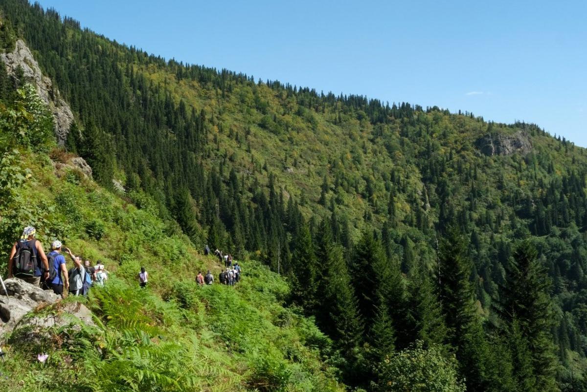Giresun'da "ot&ccedil;u g&ouml;&ccedil;&uuml;" yolları g&uuml;n y&uuml;z&uuml;ne &ccedil;ıkarılıyor