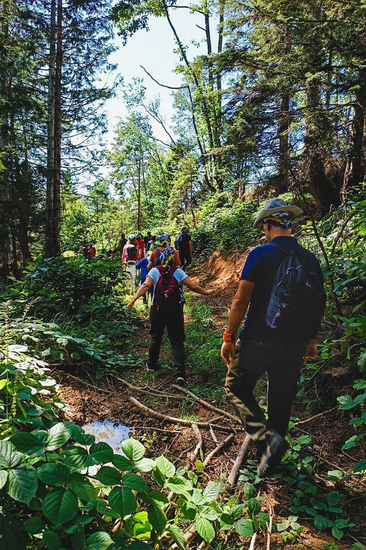 Giresun'da "otçu göçü" yolları gün yüzüne çıkarılıyor G2