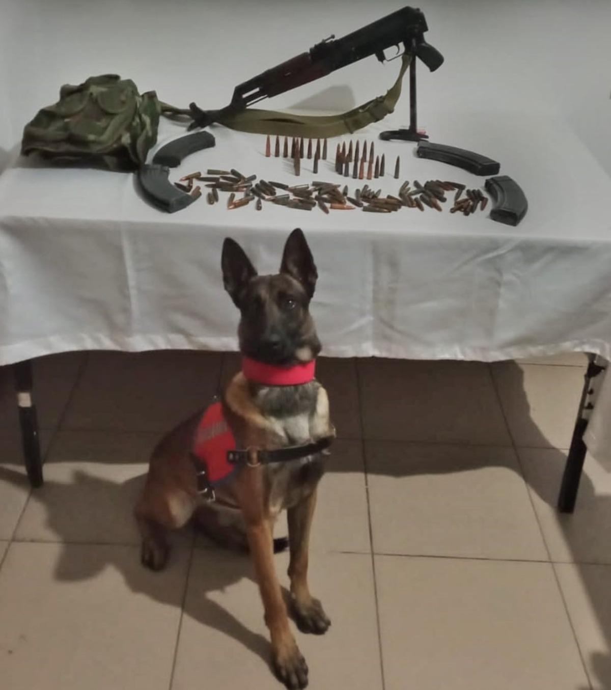 Iğdır'da silah ka&ccedil;ak&ccedil;ılığı operasyonunda 4 ş&uuml;pheli yakalandı