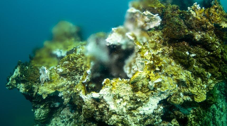 Dalış sırasında fark edildi, uzunluğu 32,2 metre! Van Gölü'nde dikkat çeken görüntü