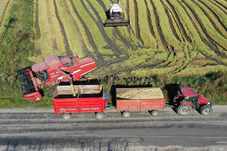 Türkiye'nin çeltik ambarı Edirne'de hasat mesaisi başladı G5