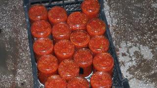 Samsun'da kış hazırlığı yapan kadınların salça ve konserve mesaisi